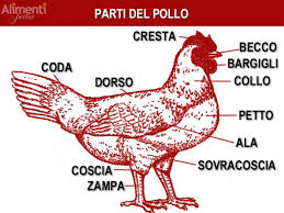 Image of category CHICKEN-POLLO